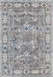 Dynamic Rugs EVORA 5875-919 Grey and Ivory and Multi